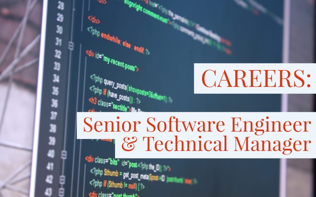 Tools Lead – Senior Software Development Engineer & Technical Manager